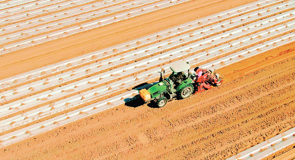 ���������մ���ֲ����ץũʱæ����