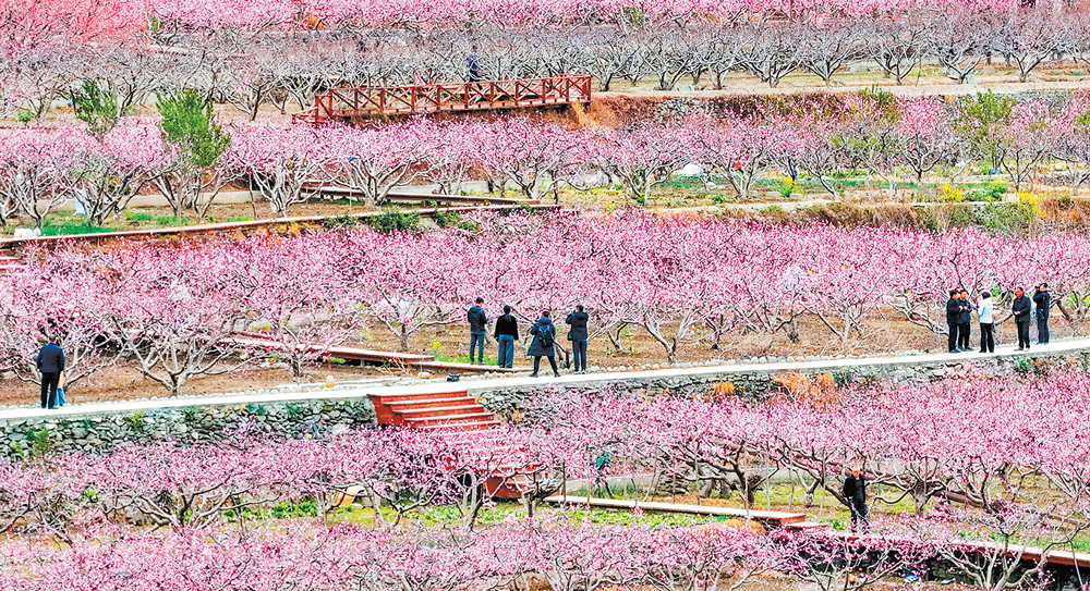 ���سǹط������һ���������