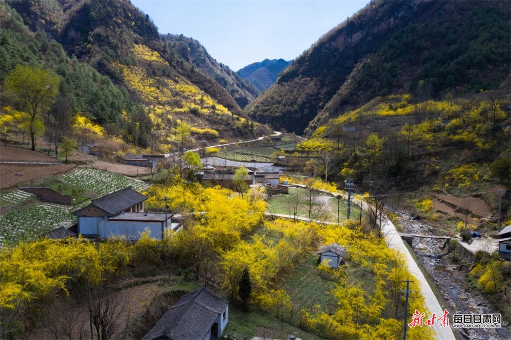 ����ɹ������Ķ���̻���