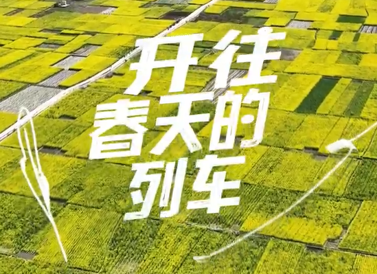 ����һ�������죬���㱼����������Ҫ���䶼��һ�������Լ���