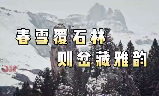 ��ѩ������װ�ع������ʯ�֣�ѩ����壬�����ּ�