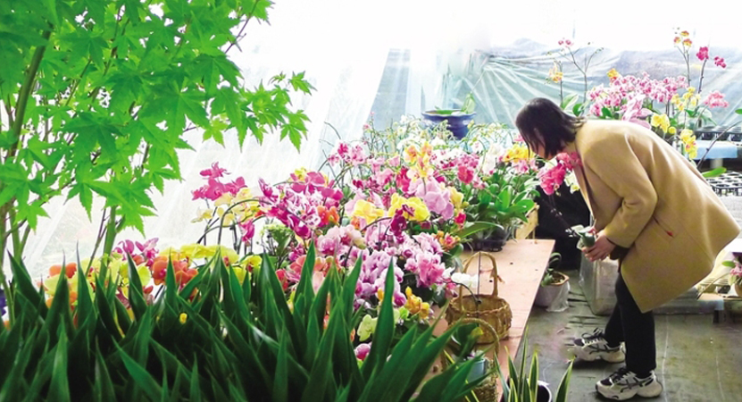 �ػͣ��ٻ���Ŵ���԰