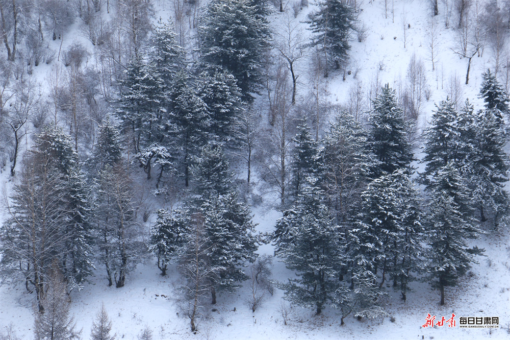 ���´�ѩ����� ��֦��Ҷӳɽ��