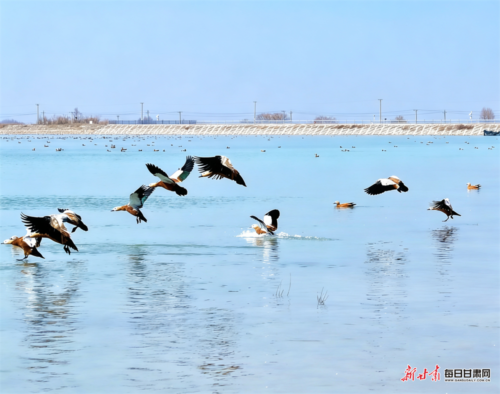 ��̬������¾� ����Ѽ�Ƽ�������