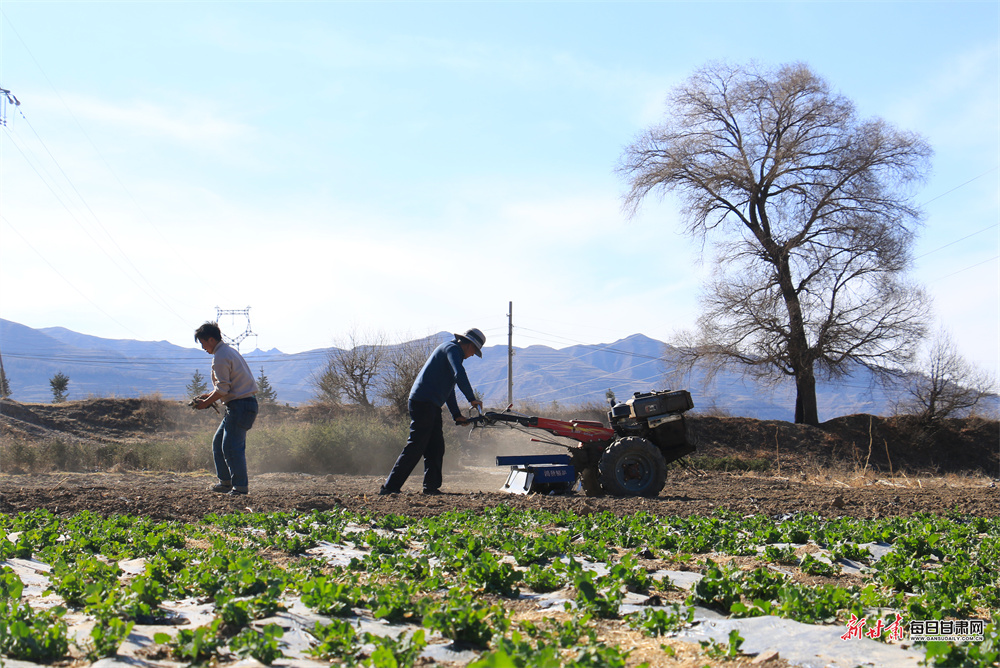 ��أ�ũ�����ظ�Ĥæ ����ҩ�籸����