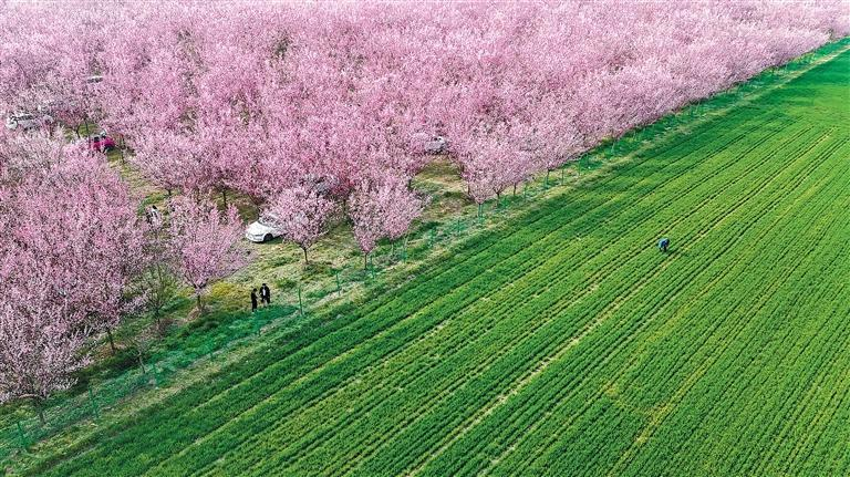 【荟萃】赴一场春分之约