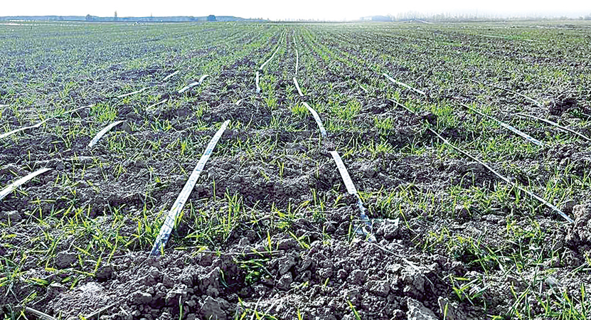 ��������������ӿ�� �������