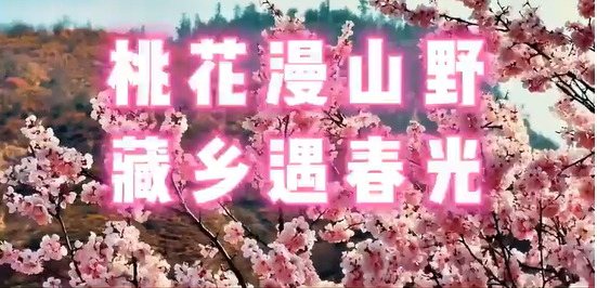 ���ӿڵĴ��죬�����һ���