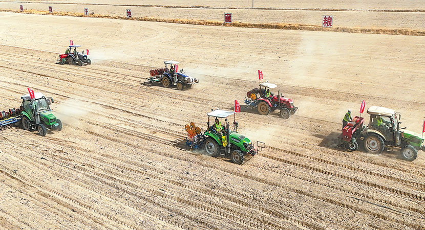 ¤ԭ��أ���ץũʱ ����ӿ��