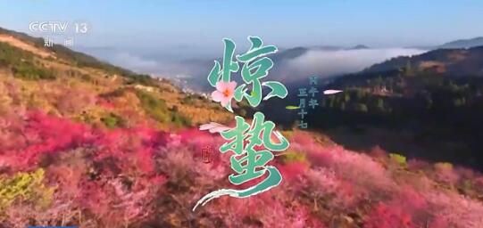 �Ļ��й���ح��ʮ�Ľ���������