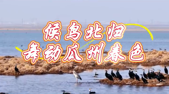 �������£��������ȱ�ѩ���ڣ����պ��ϵ�˫��ˮ��ӭ������Ǩ�����