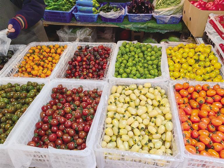 “彩虹番茄”春日新鲜上市 多彩小番茄成兰州市民餐桌新宠