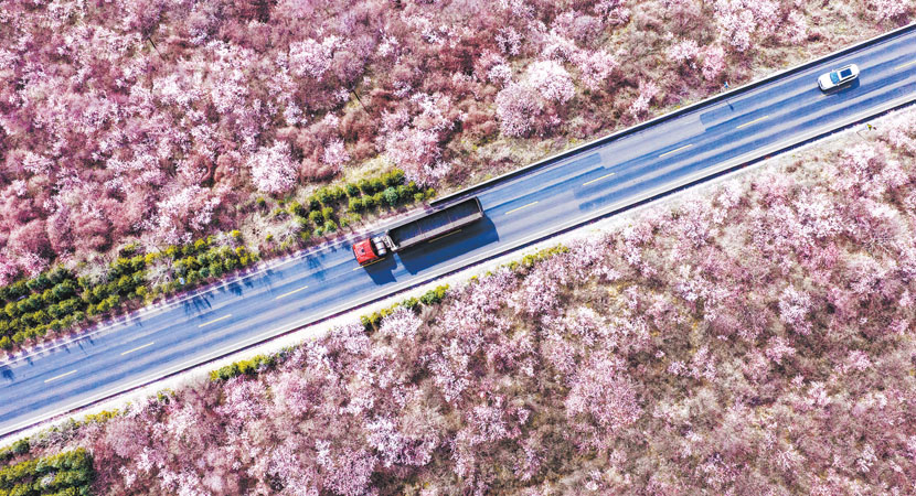 ������ͭ�Ǻ�Ͽӭ������ʢ��