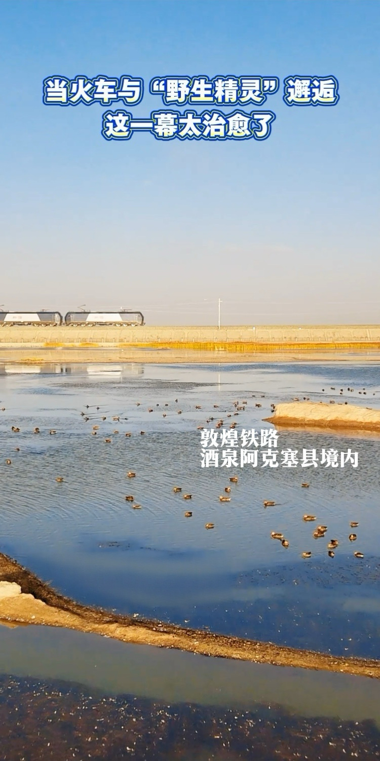 ��Ȫ�а��������ոɺ�ʪ��