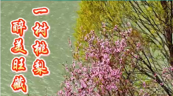 ����������أ�����ҷ��ε�����