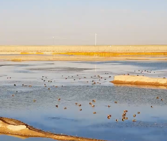 ��Ȫ�а��������ոɺ�ʪ���Ǻھ��ס�����Ѽ��Ұ���������Ϣ��