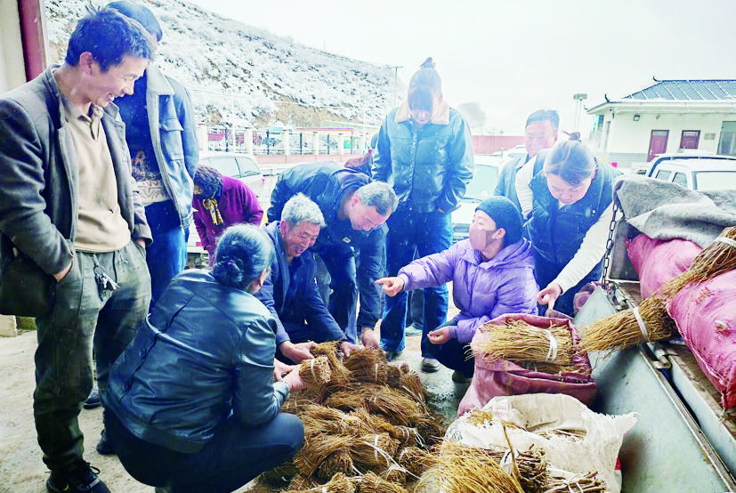 �����أ����罻���� ҩ������·