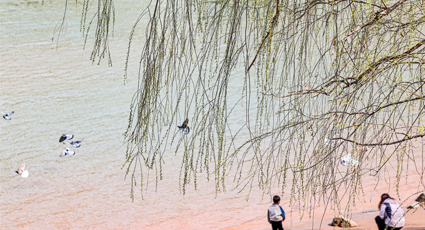 ���ݣ�����ƺӰ� �����ô���