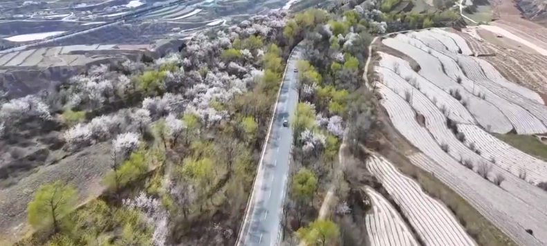 �����Ƴ�18������̤���ͻ�������·