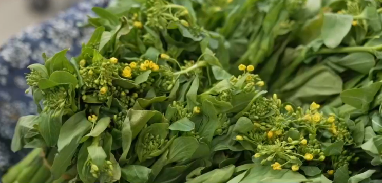 ������ء���ζ���������� �����������