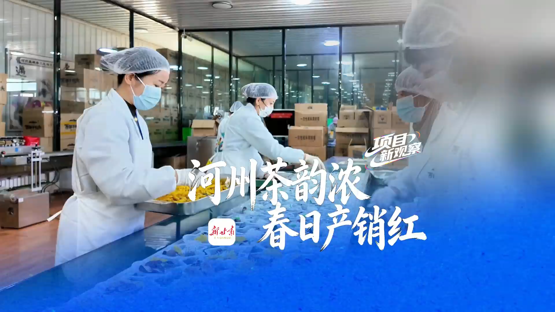 ��Ŀ�¹۲�����ģ����ݲ���Ũ ���ղ�����