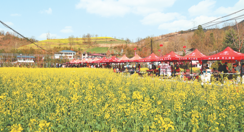 ���ش������������Ͳ˻���������