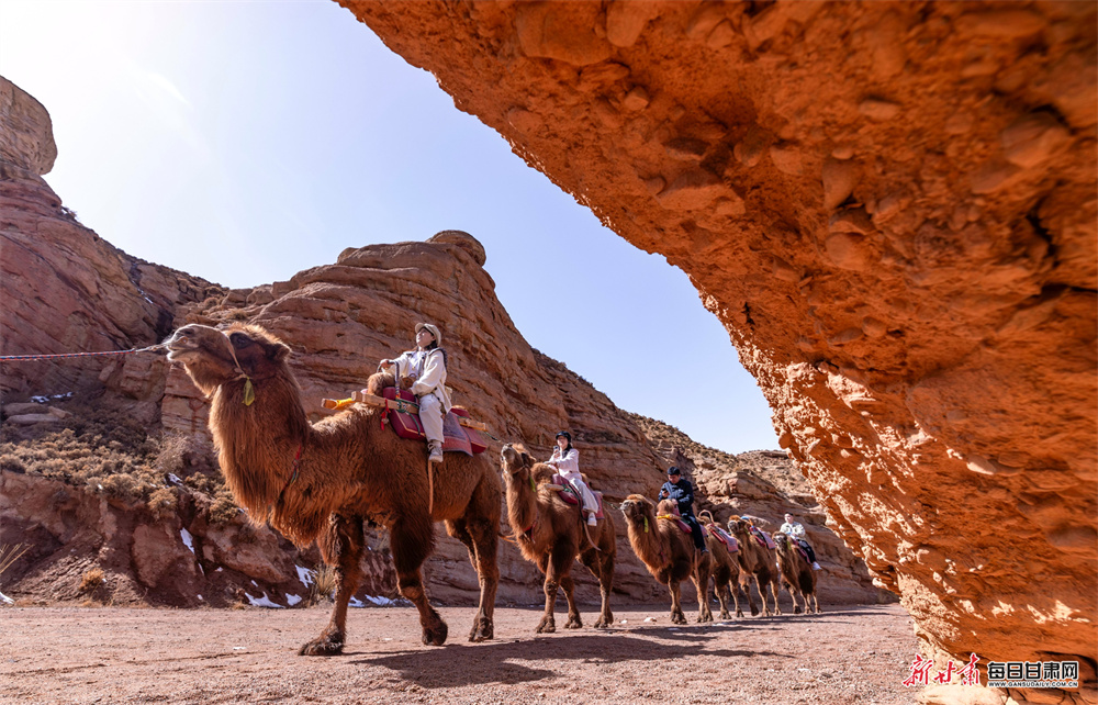 ����ƽɽ����Ͽ��