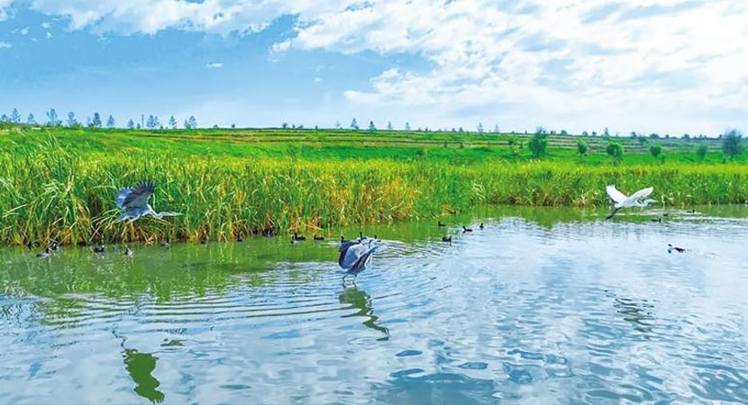 ��������ʵʩ��̬��������ʮ���ж�