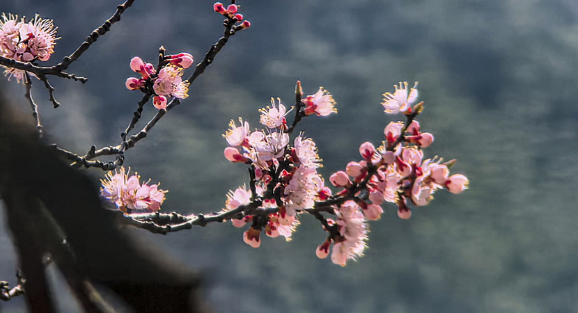 ���崺��Ũ �ӻ�Ʈ��С���