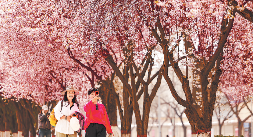 �����������гǹ������ߴ�������ͻ�