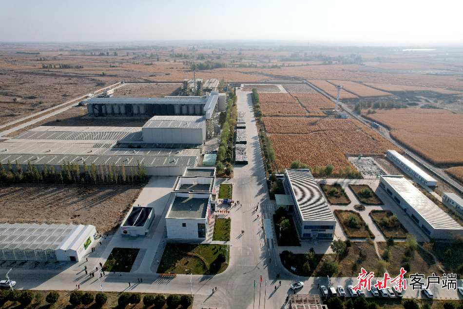 【项目挑大梁】在这个人工气候室，传统育种季节枷锁被彻底打破！