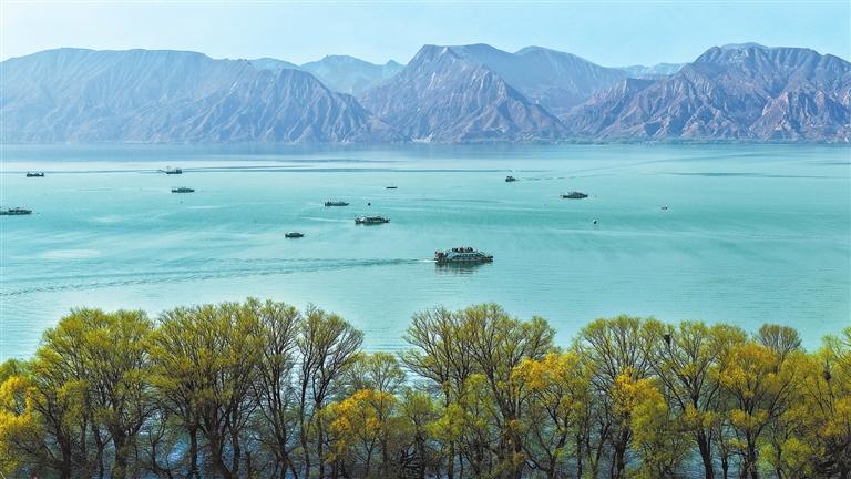 �ݷ�ͳ� ������������������