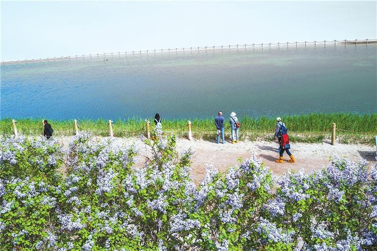 ɳ������ �����ػ�