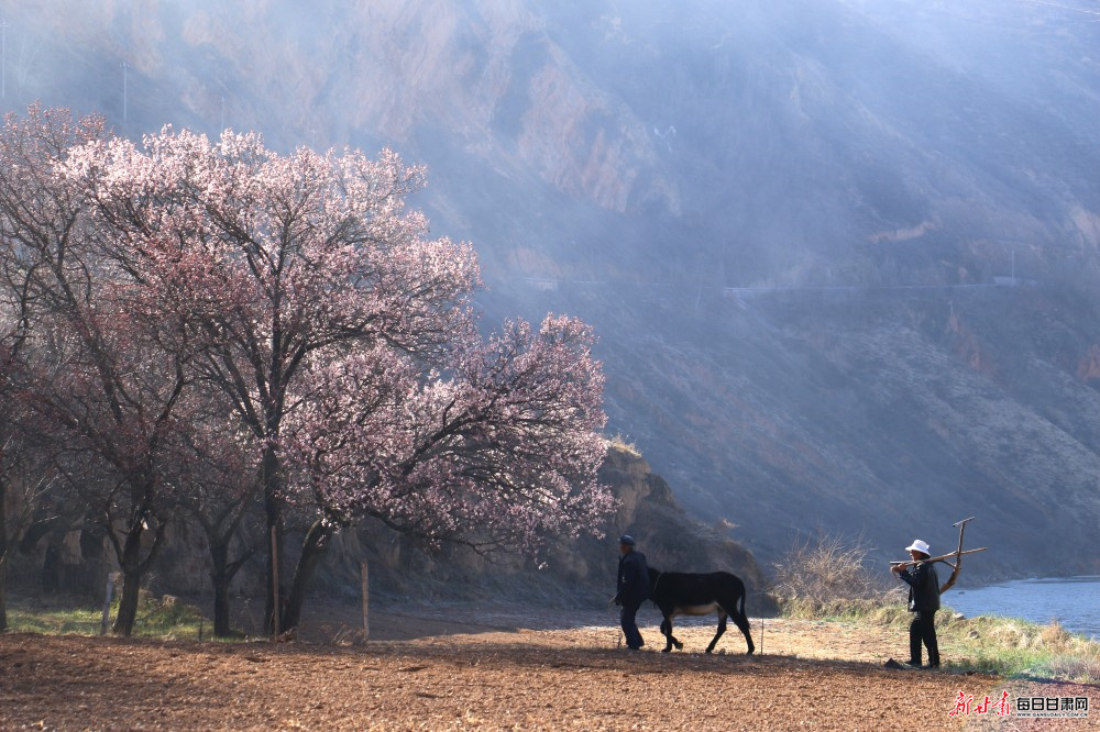 ������ݴ���Ũ �������������