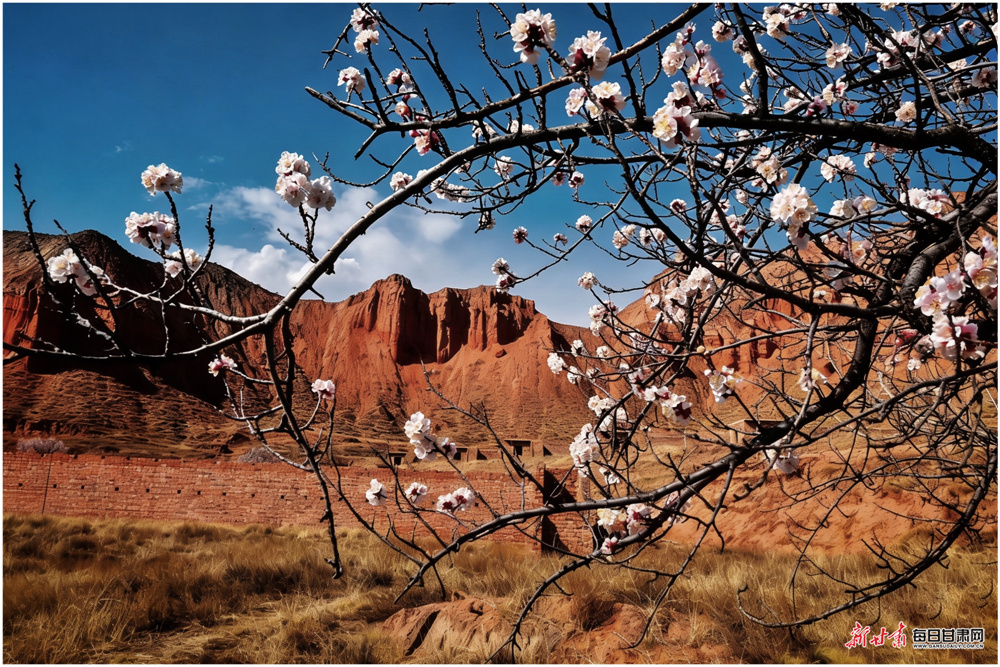 ����:����һ���ӻ��� ɽɫ����������