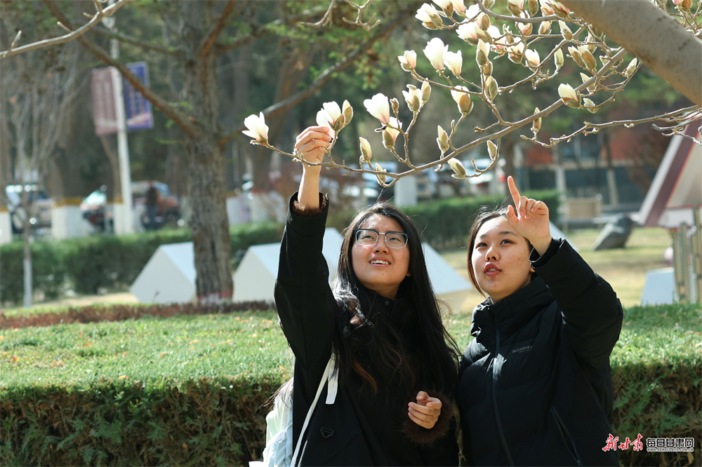 ��Ҵ����ѧԺ��ͥ��