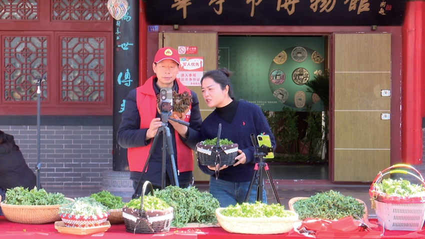 山野藏鲜韵 电商助农兴——华亭市第三届山野菜电商促消费活动举行