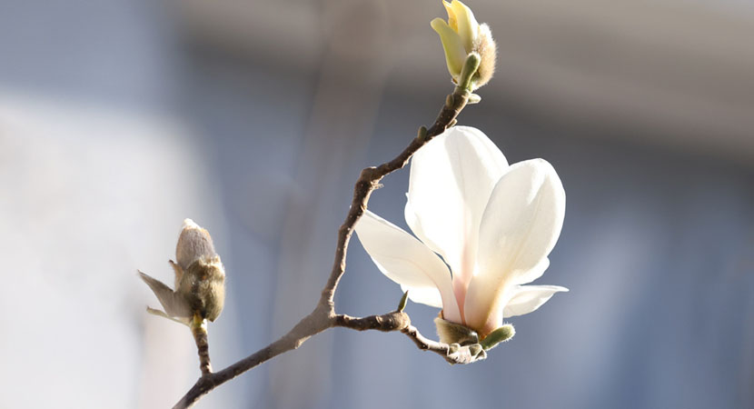 ������ܰ�� ��������ѧԺ