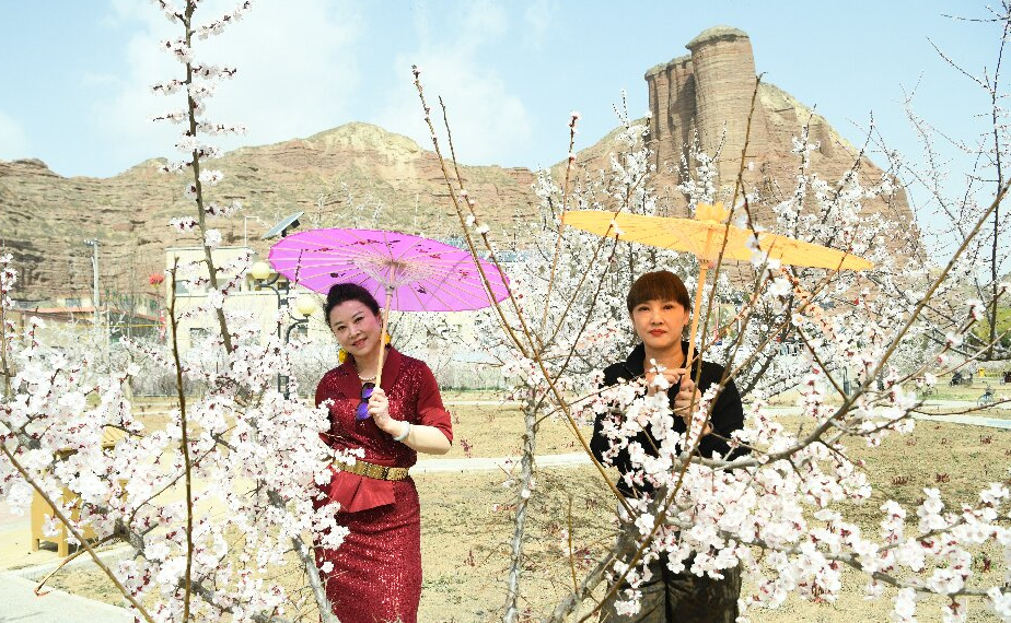 �����ֶ������� �ӻ���ѩ������