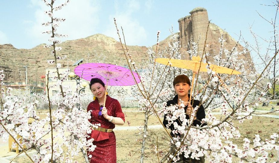 �����ֶ������� �ӻ���ѩ������