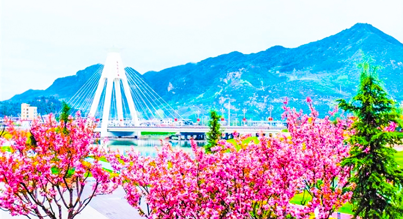 ����������ذ�ӣ��ʢ��