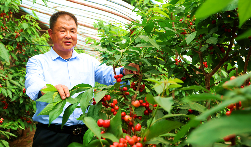 ��������������� ����������