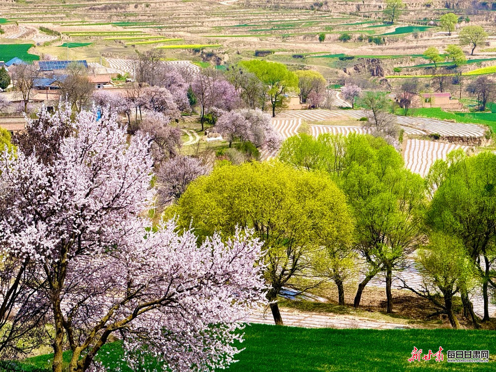 ��������żҴ� �һ�����ӳɽ��