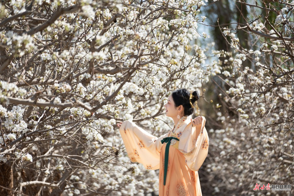 һ԰�滨ѩ ��ĿĪ�ߴ�