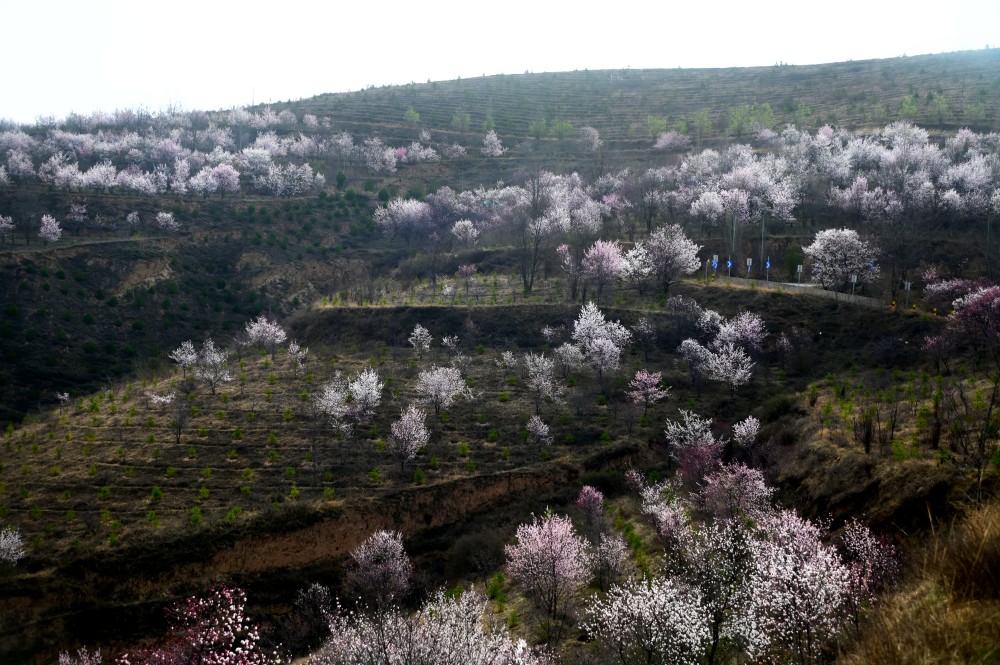 ¤����������̻�ɽ�� �Ӻ�Ʈ��μ����