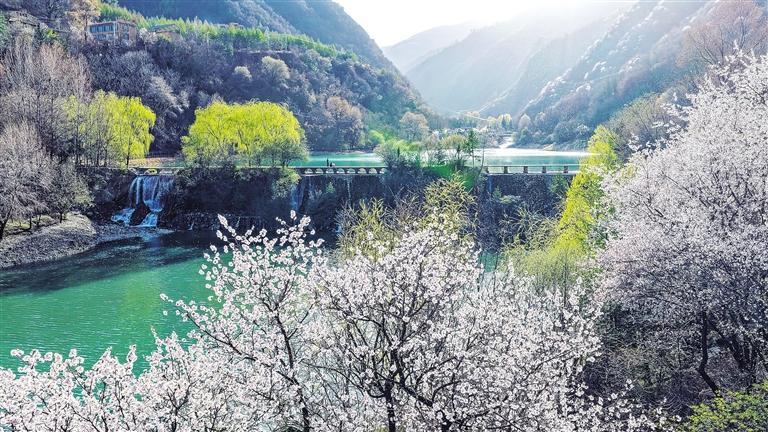 ����Ӱ��ѩɽ��ˮ ʫ���԰