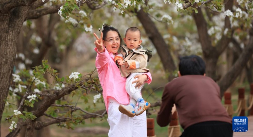 ����������滨��ʲ�� ����������