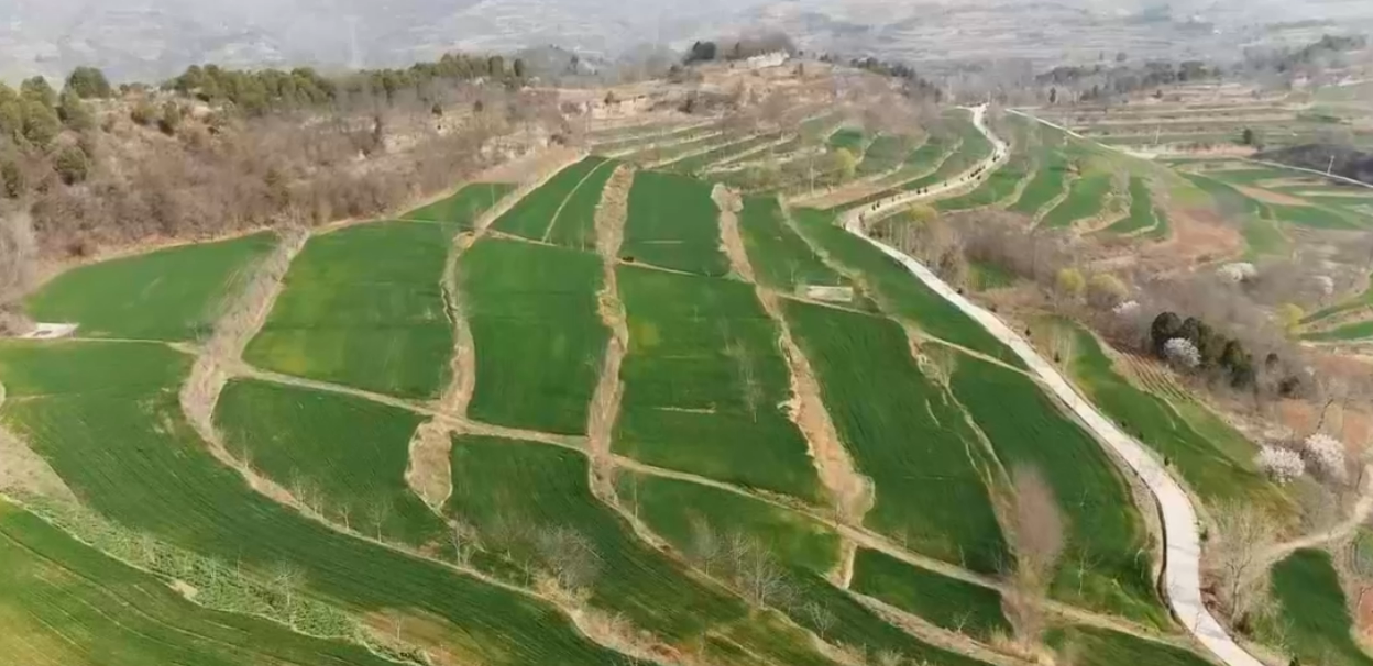 �Ƽ����� �ǻ���Ұ