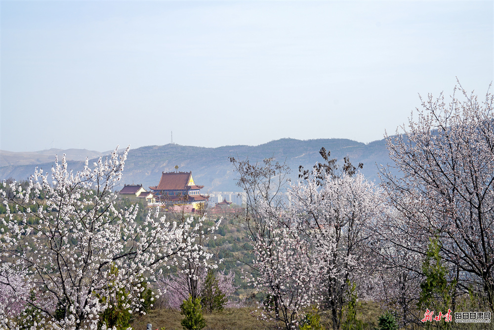 ͨμ:�����һ������� ��ܫ������Ŀ��