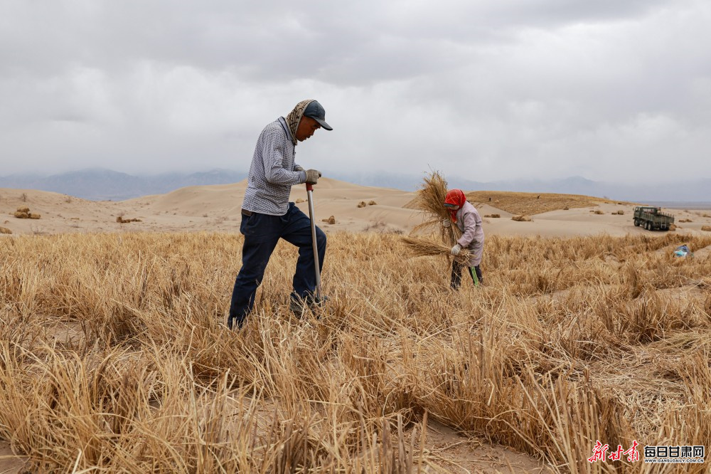 �ݸ����฿��ɳ ��������������